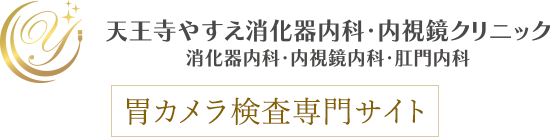 天王寺やすえ消化器内科・内視鏡クリニック 消化器内科・内視鏡内科・肛門内科 胃カメラ検査専門サイト