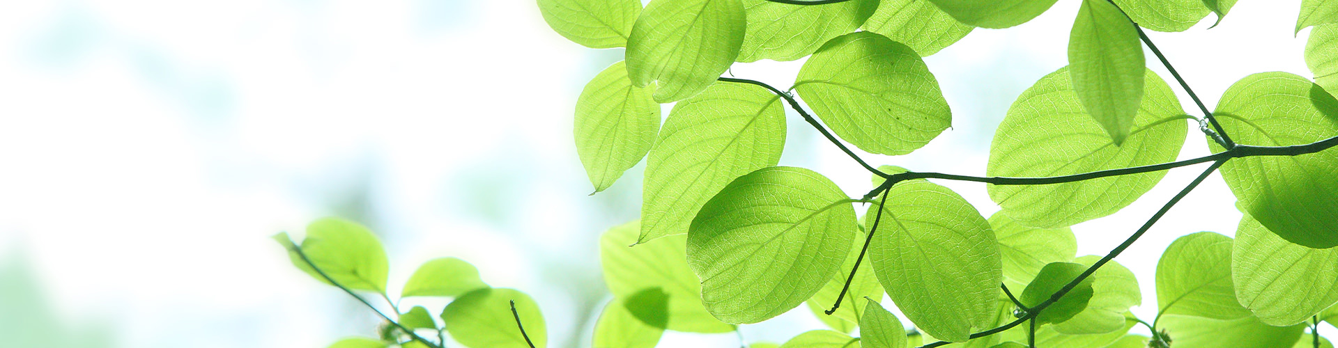 胃もたれの原因・検査・治療|大阪市天王寺駅徒歩1分の「天王寺やすえ消化器内科・内視鏡クリニック」